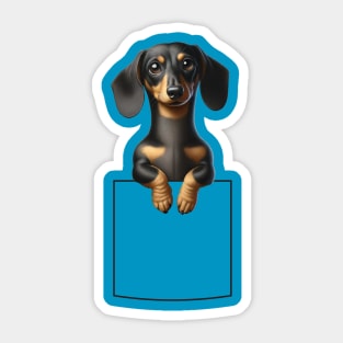 Dachshund Wiener Dog In Pocket Love Sticker